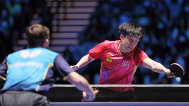 季完成反弹 季完成反弹